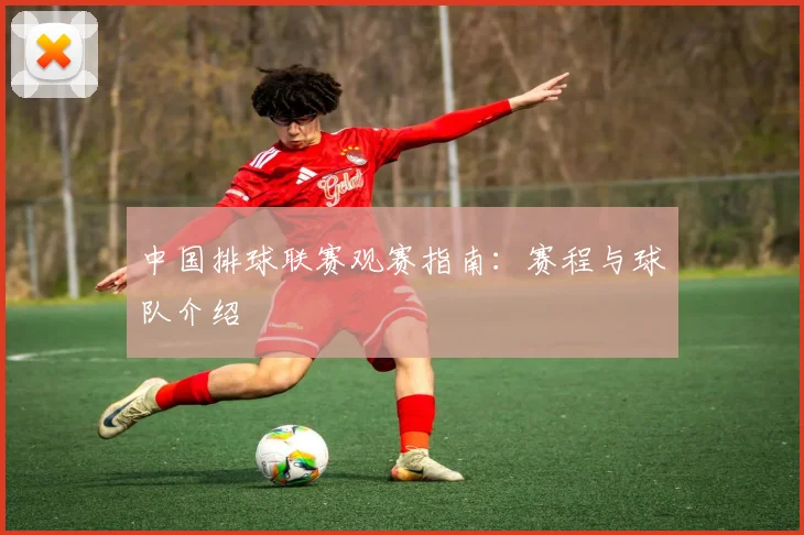 中国排球联赛观赛指南：赛程与球队介绍