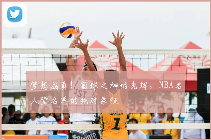 梦想成真!篮球之神的光辉,NBA名人堂名单的绝对象征
