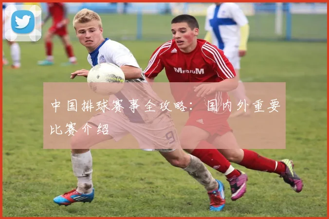 中国排球赛事全攻略:国内外重要比赛介绍