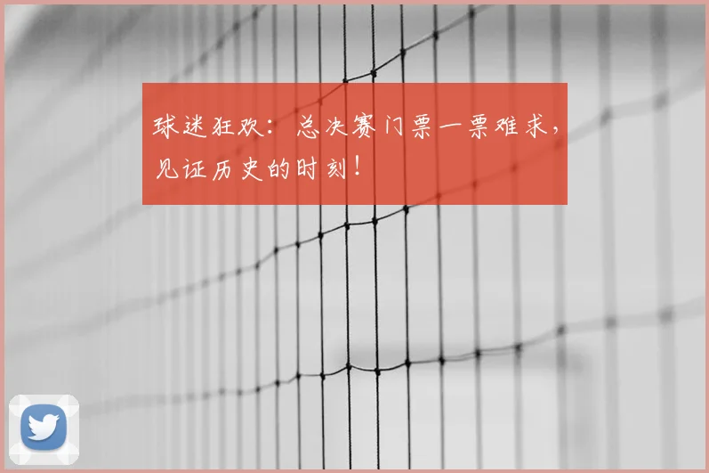 球迷狂欢：总决赛门票一票难求，见证历史的时刻！